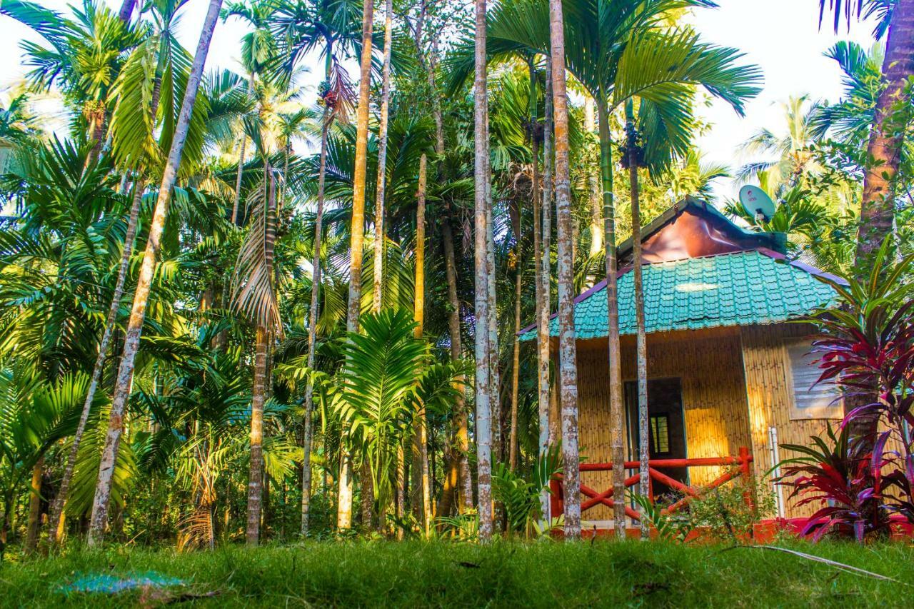 Maitreya Beach Resort Diveagar Exterior photo